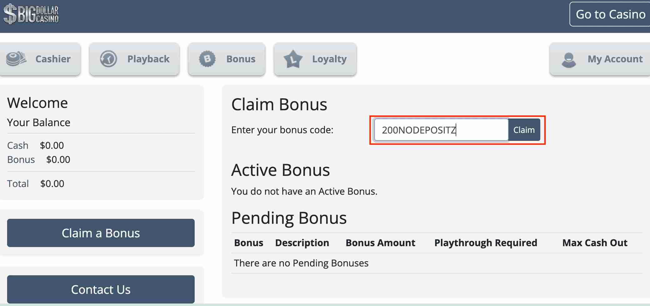 Big Dollar Casino bonus code 200NODEPOSITZ
