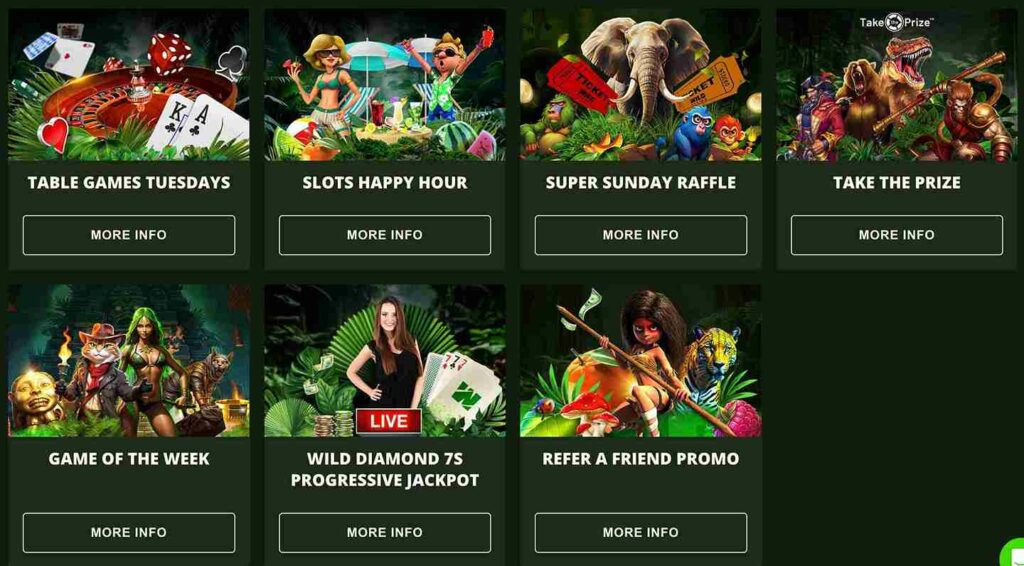 Wild Casino Bonuses