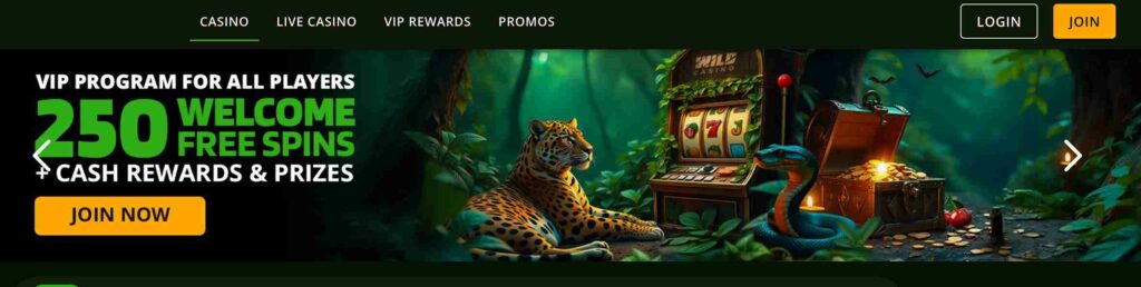 Wild Casino Overview